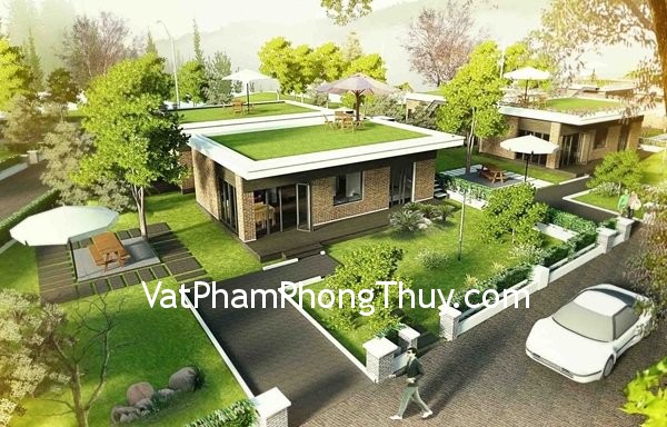 Những lưu ý khi trồng cây ở trước nhà sao cho hợp với phong thủy