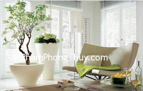 Hãy chọn đúng vị trí đặt cây cảnh trong nhà để thỏa nguyện mọi mong ước
