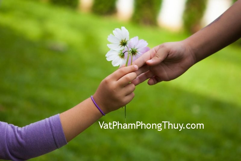 Xem tướng tay của người có quý nhân phù trợ dù đi đến đâu cũng gặp may mắn