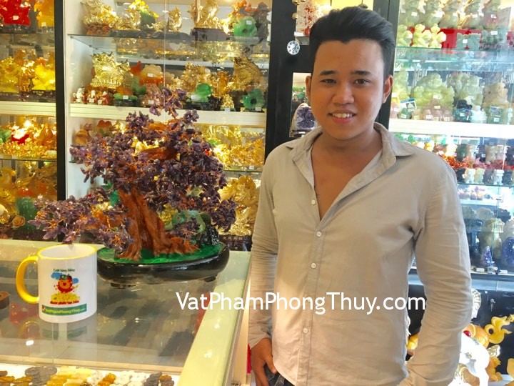 Anh Trung - khách hàng mua cây tài lộc thạch anh tím KC032