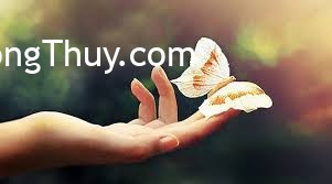 Nếu nhà bạn có 1 trong 8 dấu hiệu này tức là tài lộc sắp rơi xuống trúng đầu bạn đó