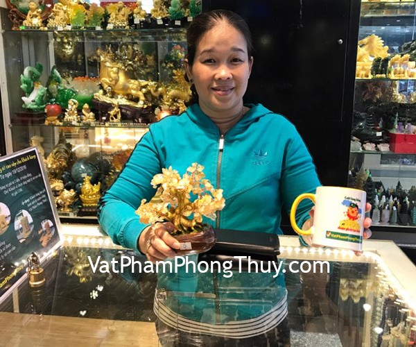 Chị Oanh - Khách hàng mua Cây tài lộc gốc đẹp thạch anh vàng nhỏ KC088