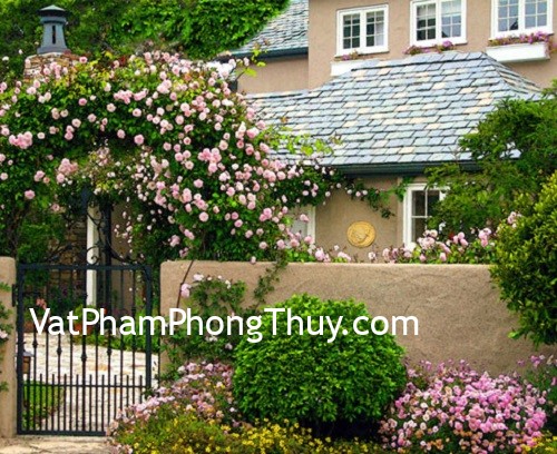 Những lưu ý nên tránh khi bố trí sân vườn để khỏi rước họa