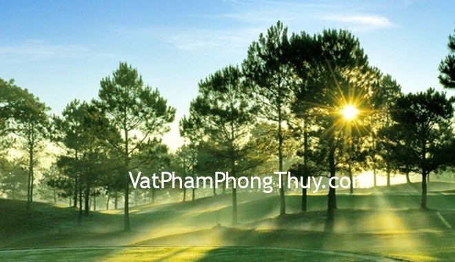 Những biểu tượng giúp tăng cường sức khỏe và tuổi thọ nên trưng bày trong nhà