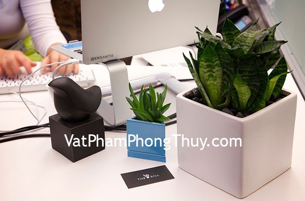 Bàn làm việc tuyệt đối không nên để những đồ vật này kẻo sự nghiệp tiêu tan