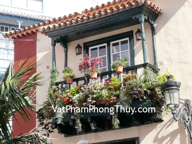 Những loại cây cảnh nên trồng ở ban công để bảo vệ cho nhà ở