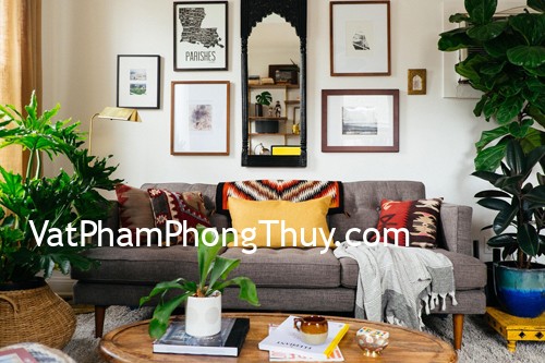 Bỏ túi cách chọn cây cảnh phù hợp bày trí phòng khách đón tài lộc vào nhà
