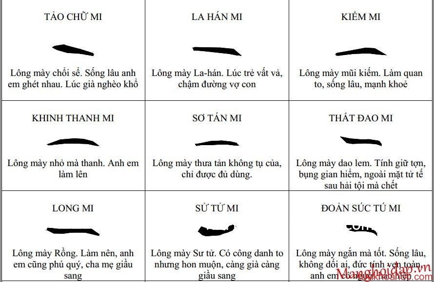 Nhìn tướng số con người qua hàng chân mày