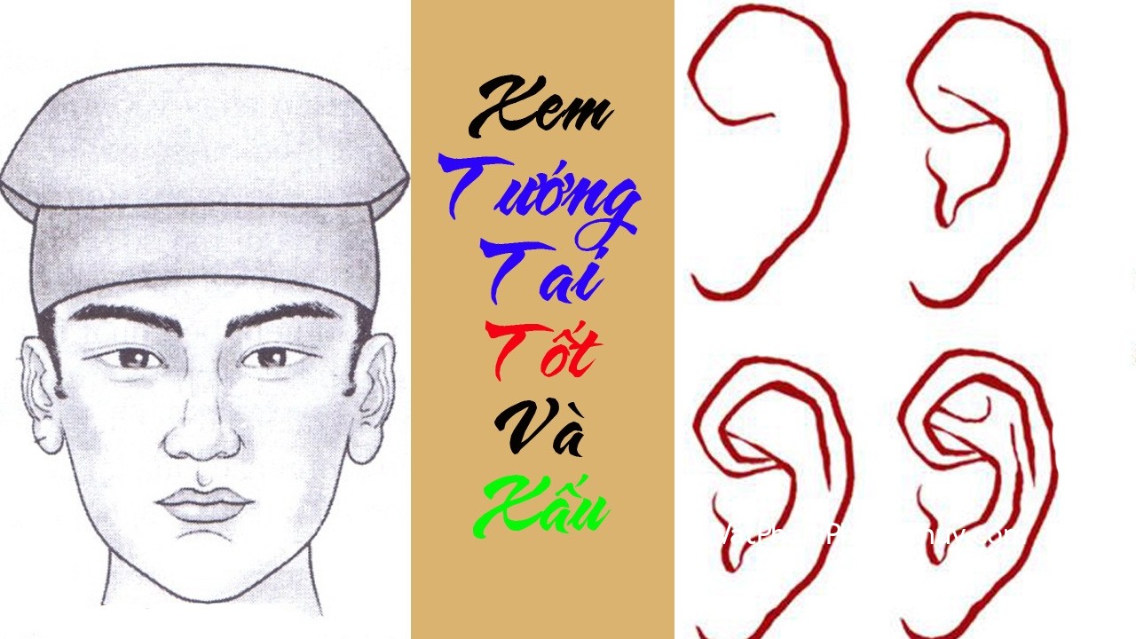 Có phải tướng tai phật là tướng số của người hưởng nhiều phúc lộc?