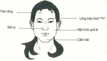 Tướng mặt người phụ nữ luôn cho mình là nhất