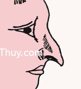 Nhân tướng học nói gì về người có tướng mũi chim ưng?