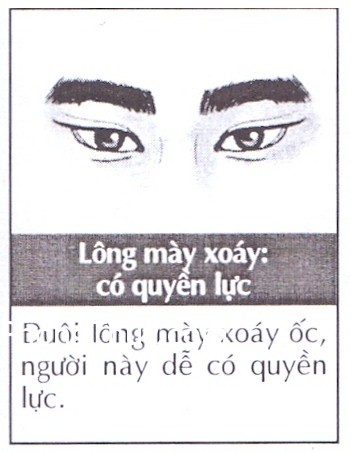 Đoán vận mệnh thông qua tướng người có lông mày xoáy