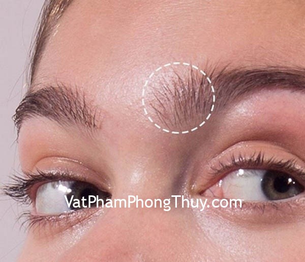 Xem tướng lông mày dựng đứng đoán tính cách và vận mệnh