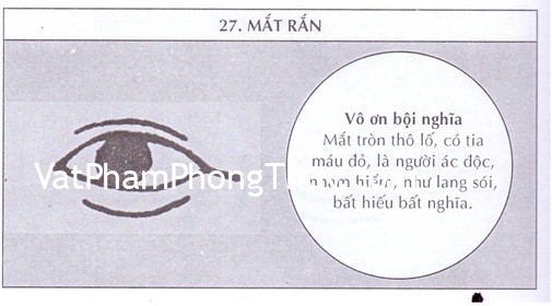 Xem người có tướng mắt rắn nói lên điều gì?