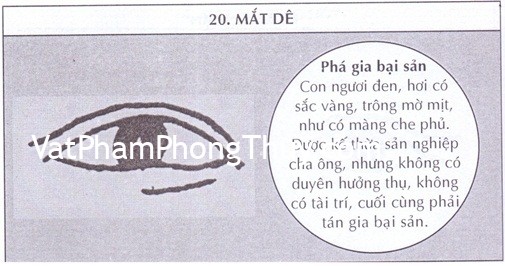 Xem người tướng mắt dê đoán tính cách và vận mệnh trong tương lai