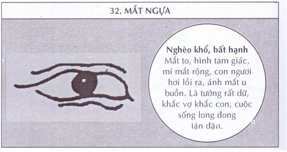 Xem tướng mắt ngựa đoán vận mệnh và tính cách