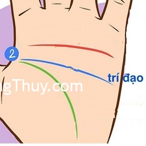 Xem tướng người có chỉ tay đường trí đạo đoán vận số tương lai tốt xấu