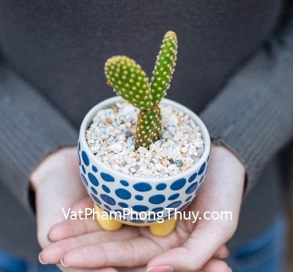 Những điều kiêng kị về phong thủy phòng làm việc