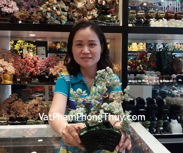 Chị Hạnh - khách hàng mua cây tài lộc đông linh xanh KC119