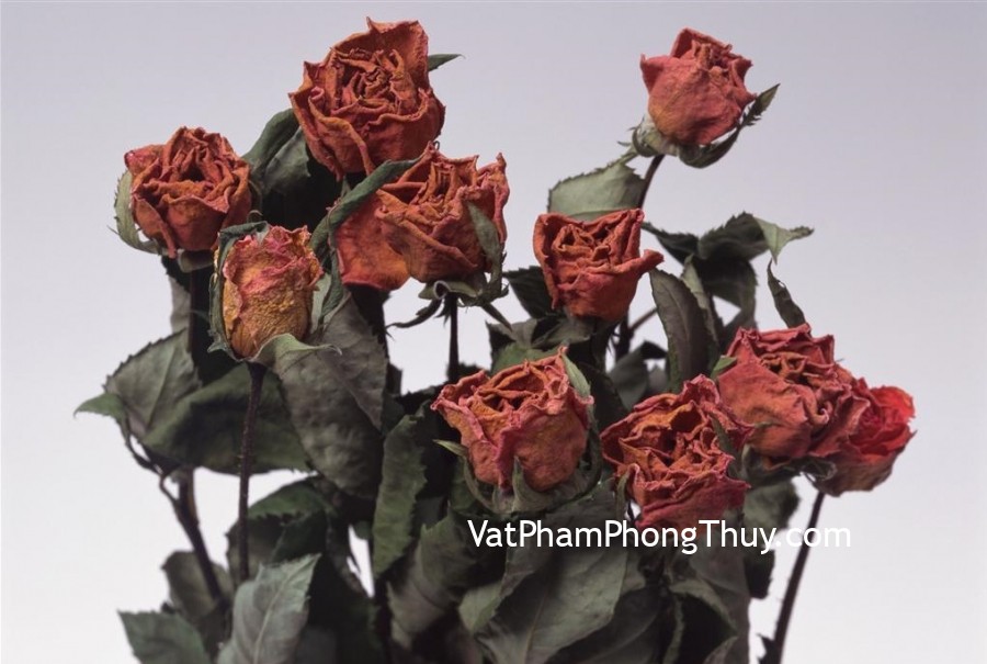Những thứ đồ cúng không nên để lâu trên bàn thờ