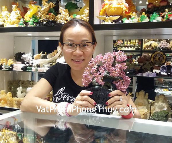 Chị Thủy - khách hàng mua cây tài lộc ngọc bảo KC122
