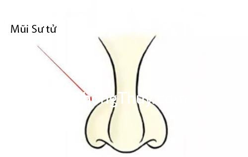 3 tướng mũi ở phụ nữ thể hiện cuộc đời phú quý, ấm no hạnh phúc