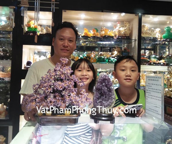 Anh Dũng-khách hàng mua Cây thạch anh tím lớn hạt nhỏ dáng thịnh vượng trên chậu có núi đá KC110 và Bông thạch anh tím H097-8505