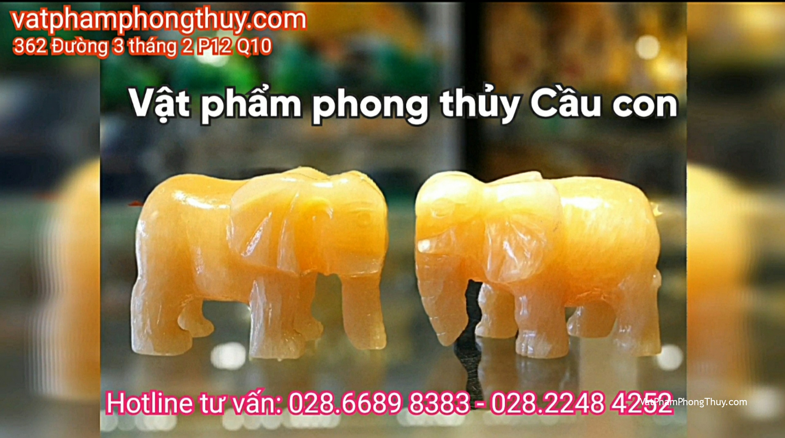[Video] Cầu con theo phong thủy