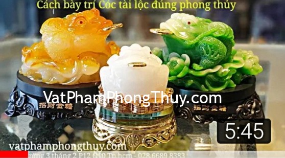 [Video]Cách bày trí Cóc tài lộc đúng phong thủy [Cóc phong thủy] (Phần 2)