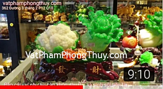 [Video] Bắp cải phong thủy có tác dụng, ý nghĩa như thế nào ??? [Chủ đề tài lộc]
