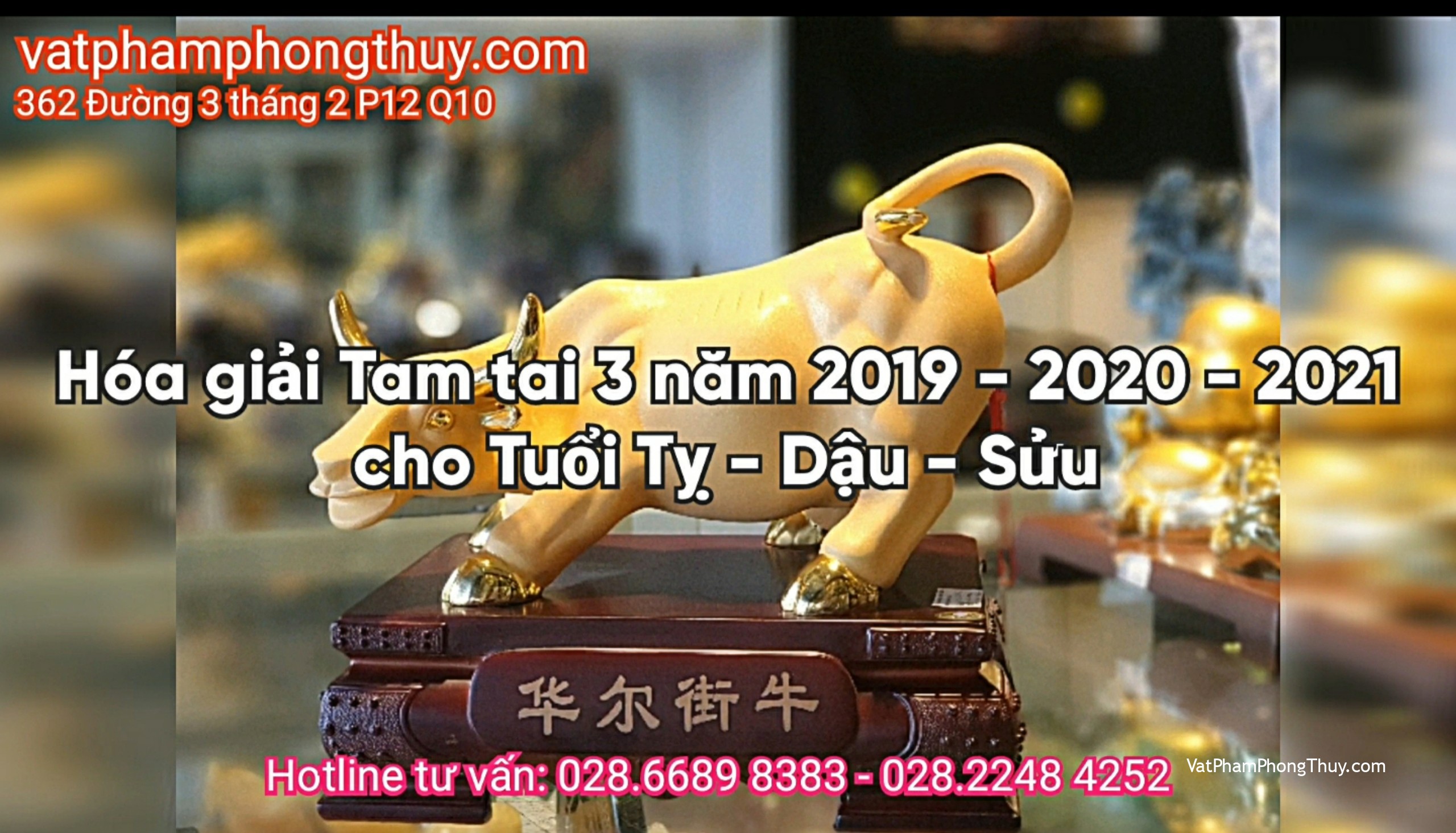 [Video] Hóa giải Tam tai 3 năm 2019 - 2020 - 2021 cho Tuổi Tỵ - Dậu - Sửu