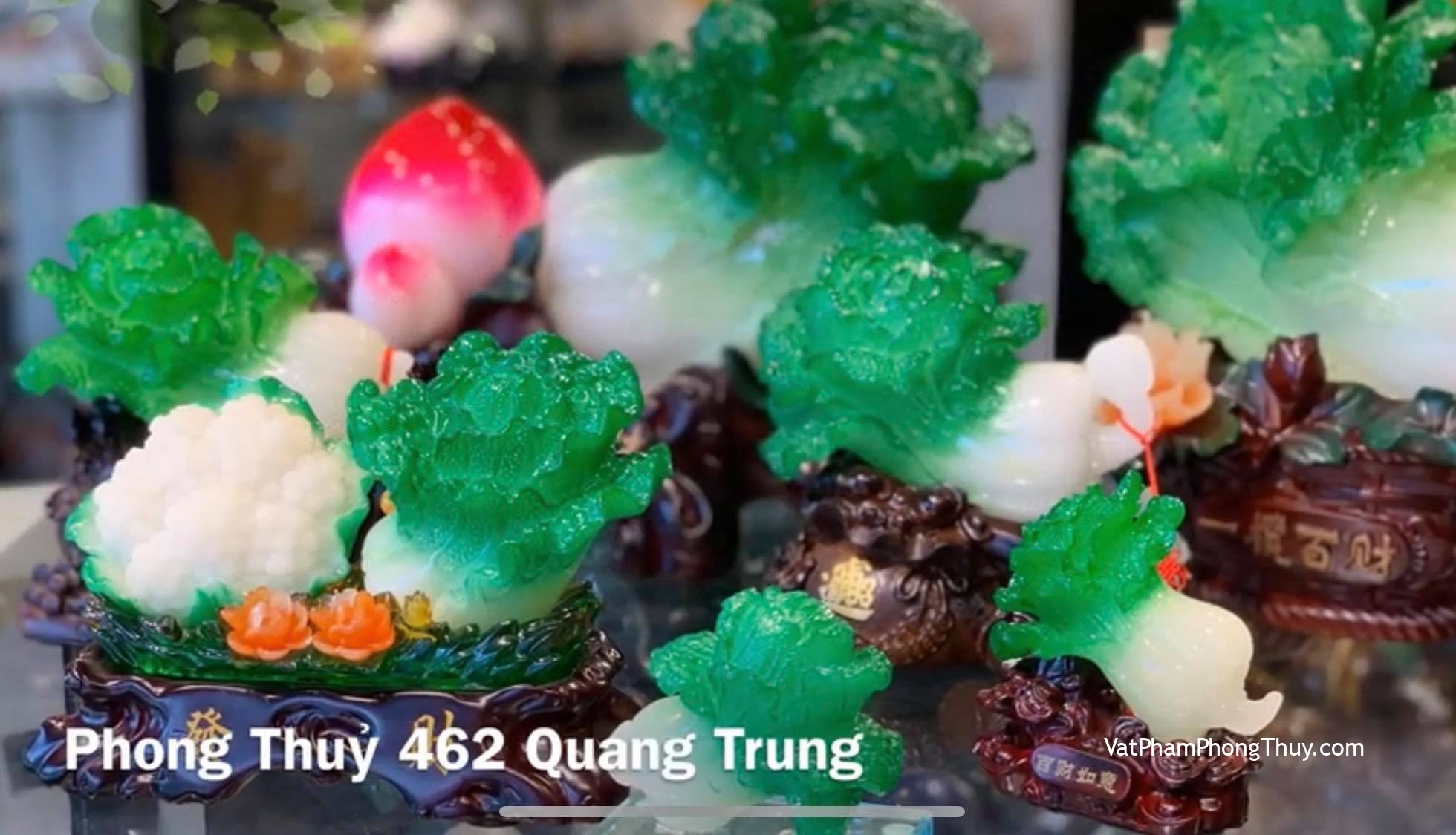 [Video] Bắp cải vật phẩm cát tường, chiêu tài hút lộc cho gia chủ !