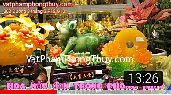 [Video] Quà tặng phong thủy ngày tết #1