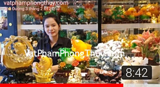 [Video] Cá phong thủy - biểu tượng của sự giàu sang, phú quý và may mắn [Chủ đề tài lộc]