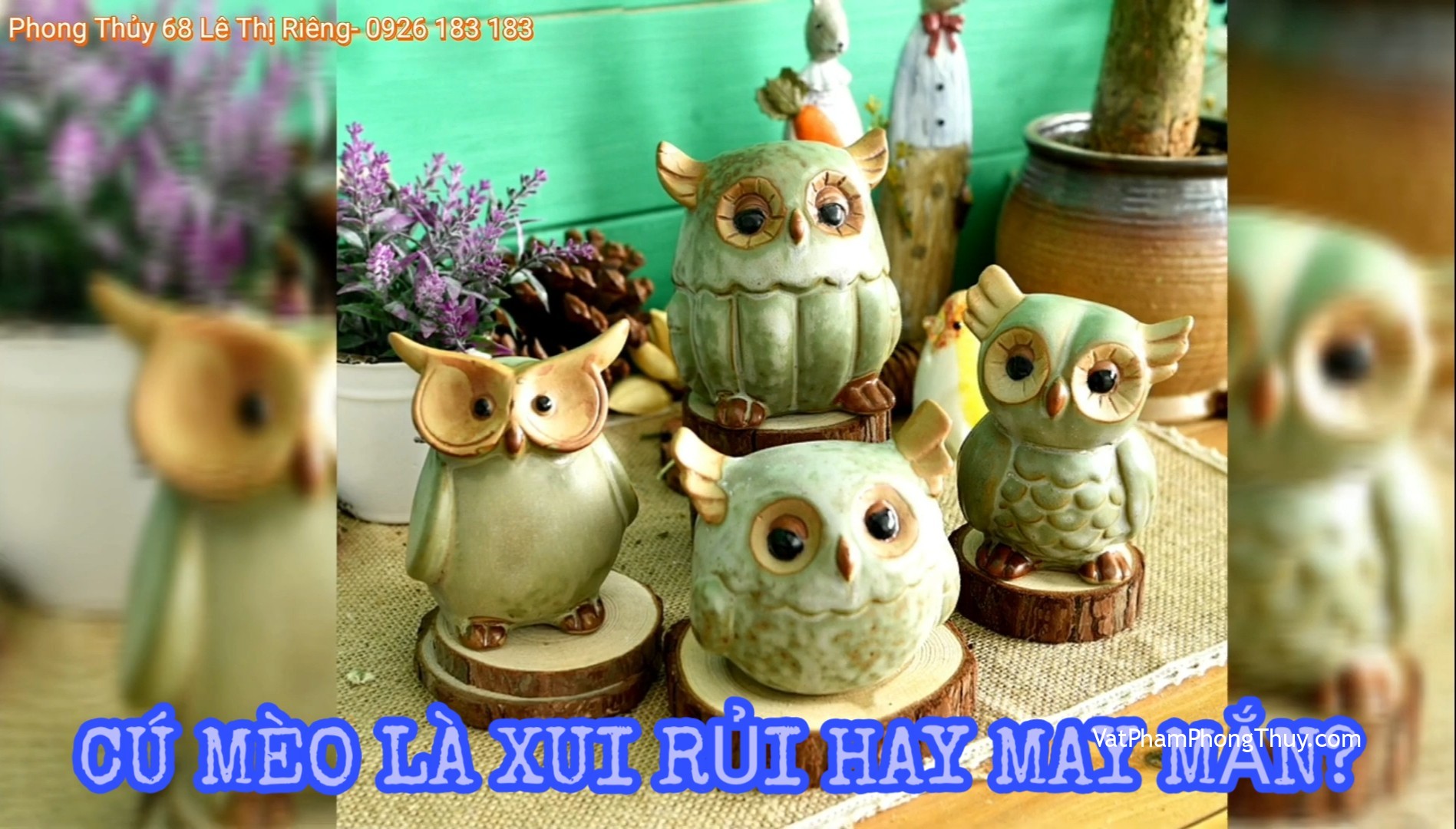 [Video] Cú mèo – linh vật biểu tượng của sự tiên tri, của trí tuệ và sự thông minh sáng suốt◇Ep33 [Tỉ Tỉ Chuyện Phong Thủy]