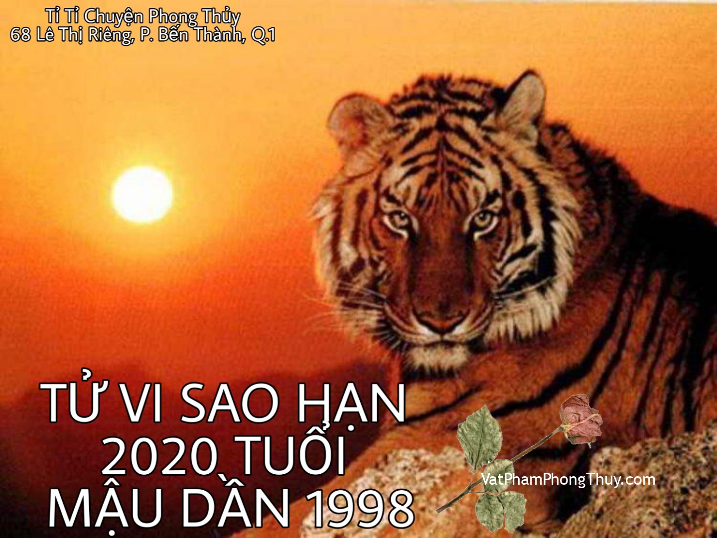 [Video] Tử vi sao hạn tuổi Mậu Dần 1998 nam mạng năm 2020| Ep 42 [Tỉ Tỉ Chuyện Phong Thủy]