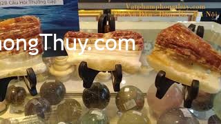 [Video] CẬN CẢNH ĐÁ THỊT KHỦNG LONG - Cơ hội sở hữu loại đá quý hiếm này tại Việt Nam