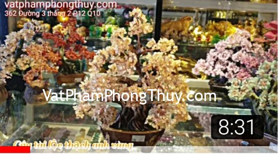 [Video] Muốn sức khỏe tốt và có tài lộc nên bày trí gì ??? [Chủ đề tài lộc]