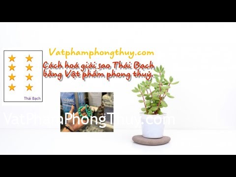 [Video] -Hoá giải sao hạn- Hoá giải sao Thái Bạch bằng Vật Phẩm phong thuỷ