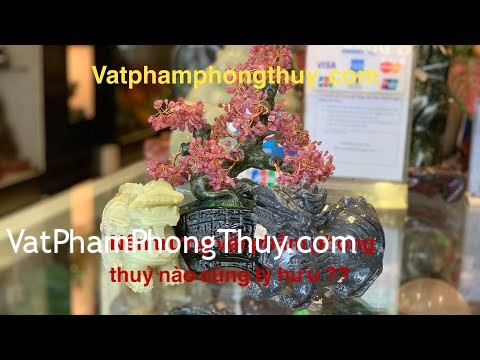 [Video] Nên trưng thêm Vật Phẩm phong thuỷ nào cùng với Tỳ hưu để kích hoạt thêm may mắn! {Phần 7}