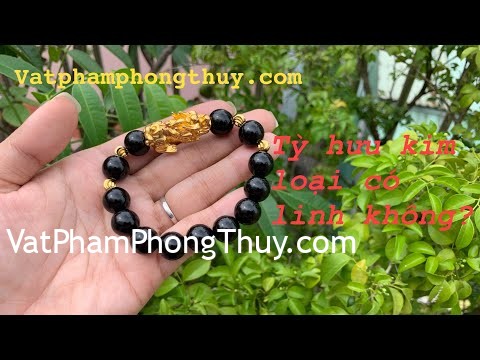 [Video] Tỳ hưu bằng vàng có độ ta không????