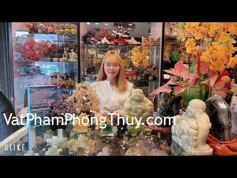 [Video] Đi tân gia nhà mới nên 🎁 gì để gia chủ đầy 💸???