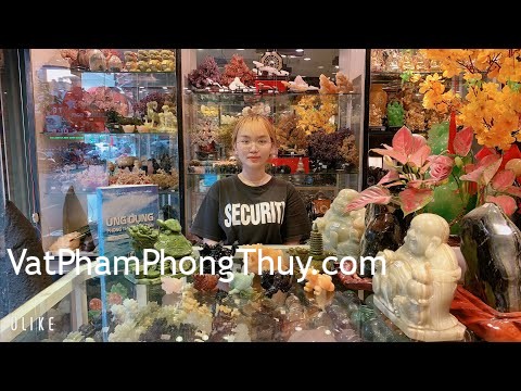[Video] -Vật Phẩm phong thuỷ- Long quy dùng thế nào trong phong thuỷ ???