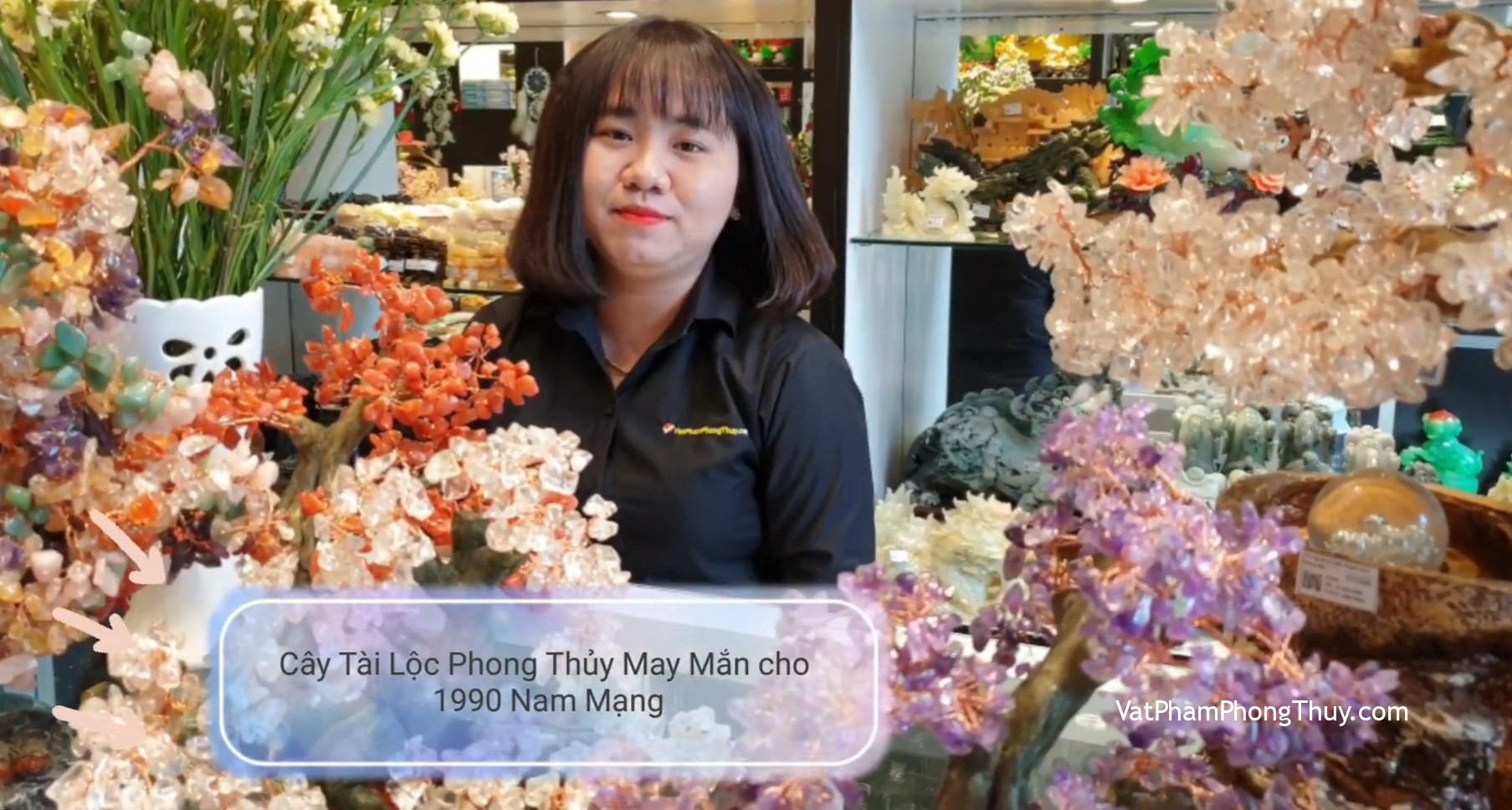 [Video] Nam 1990 trưng bày cây tài lộc phong thủy nào thu hút vận may? Ep26 [Tỉ Tỉ Chuyện Phong Thủy]