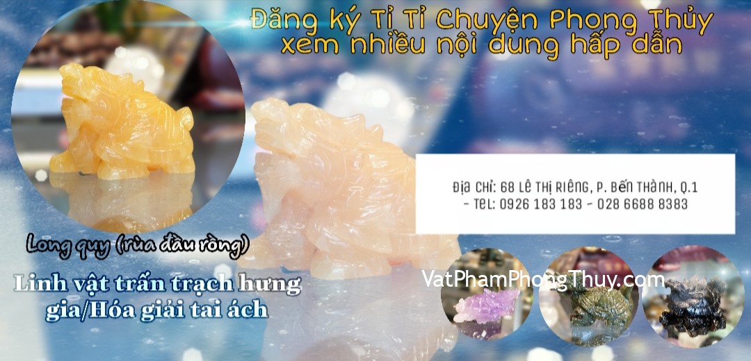 [Video] Rùa Đầu Rồng - LINH VẬT TRẤN TRẠCH HƯNG GIA, HÓA GIẢI TAI ÁCH HIỆU QUẢ - Ep23 [Tỉ Tỉ Chuyện Phong Thủy]