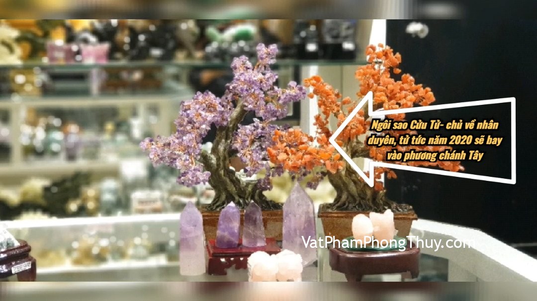 [Video]Kích hoạt sao Cửu Tử - Cát tinh chủ về nhân duyên và tử tức - Phi tinh năm 2020☆Hướng Chánh Tây [Tỉ Tỉ Chuyện Phong Thủy]