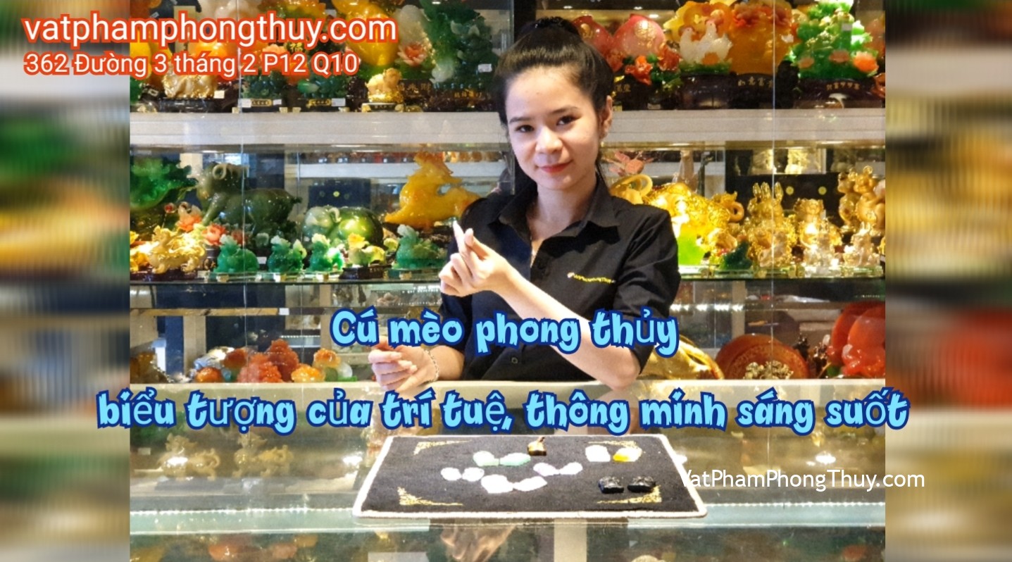 [Video] Cú mèo trong phong thủy có ý nghĩa như thế nào ???