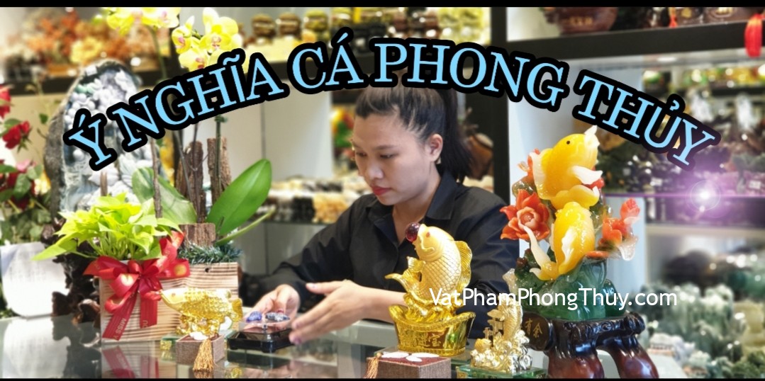 [Video] Ý nghĩa cá phong thủy - Biểu tượng của sự dư dả quanh năm| Ep 69 [Tỉ Tỉ Chuyện Phong Thủy]