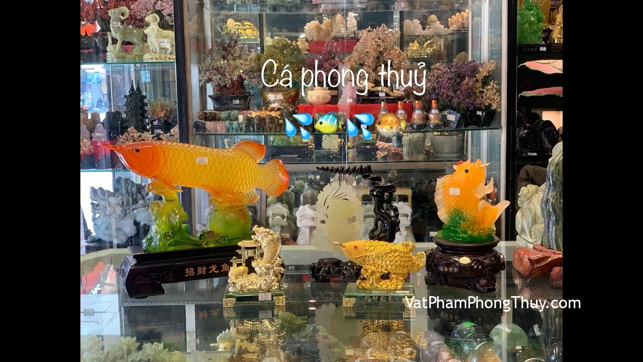[Video] -Vật Phẩm phong thuỷ- Cá chép phong thuỷ - biểu tượng của tài lộc dồi dào !!!