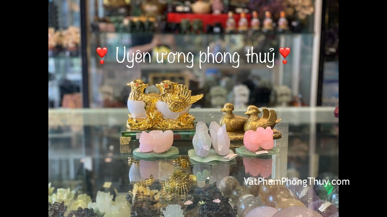[Video] -Vật Phẩm phong thuỷ- Uyên ương - uyên ương giỡn nước, vợ chồng đồng tâm ❤️❤️❤️